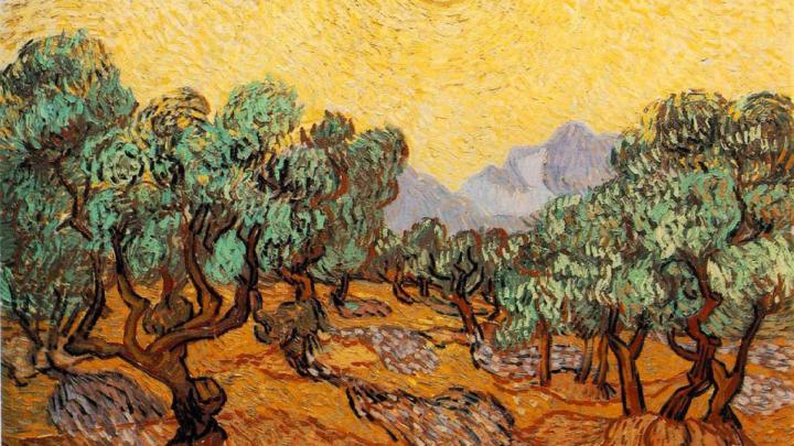 Van Gogh Tree Wallpapers - Top Free Van Gogh Tree Backgrounds 