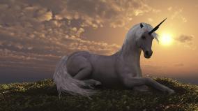 Unicorn Wallpaper 1920x1080