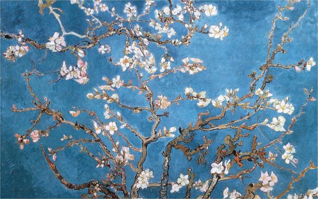 Van Gogh Desktop Wallpapers (56+ background pictures)