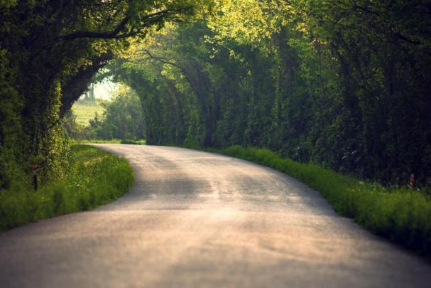 1920x1080 wallpaper \u00b7\u2460 Download free full HD backgrounds for desktop 