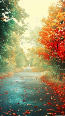 Hd Wallpapers 1080p Vertical