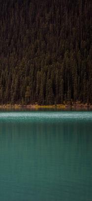 Minimalist Nature HD Wallpapers - Top Free Minimalist Nature HD 
