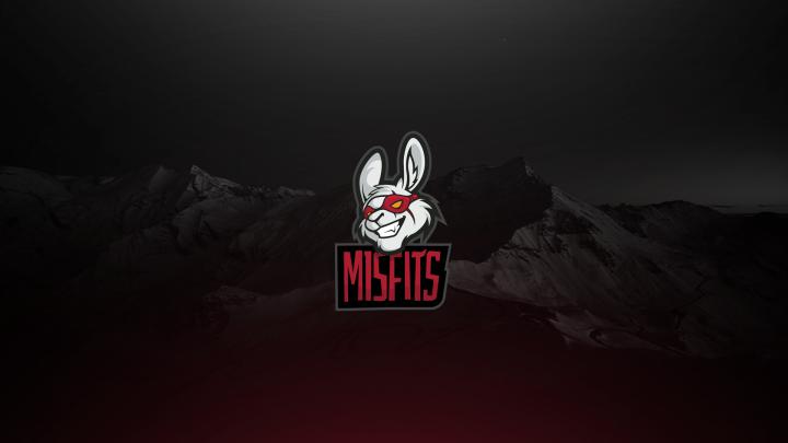 Wallpapers THE MISFITS LOGO