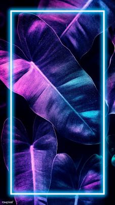 Neon Wallpapers For Phone - Neon Wallpapers Free Hd Download 500 Hq 