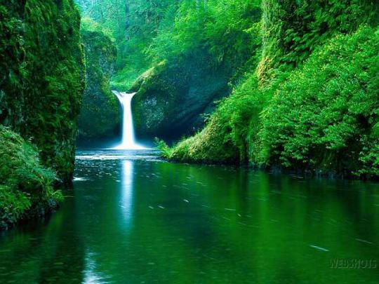 Wallpapers Designs: Most Beautyful \u0026 Amazing Dasktop Wallpalers