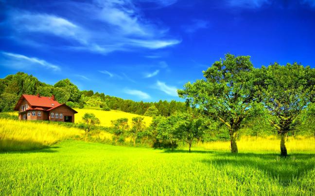Most Amazing Wallpapers In The World (45 Wallpapers) \u2013 Adorable Wallpapers