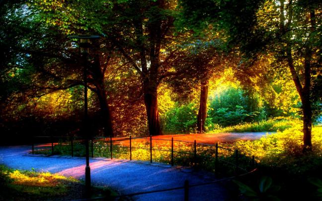 The Most Beautiful Nature Desktop Wallpapers