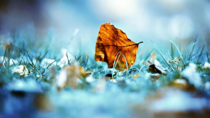 Most Beautiful HD Wallpapers - Top Free Most Beautiful HD Backgrounds 