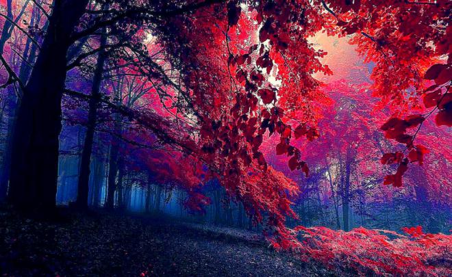 Best New Wallpapers | Free HD Wallpapers