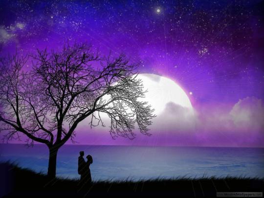 Most Beautiful HD Wallpapers -