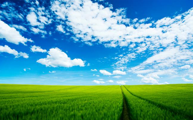 The Most Beautiful Nature HD Wallpaper | Unique Wallpaper