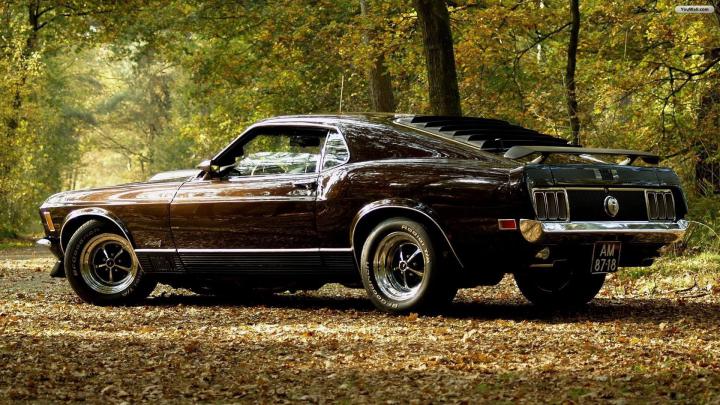 Mustang HD Wallpaper High Quality
