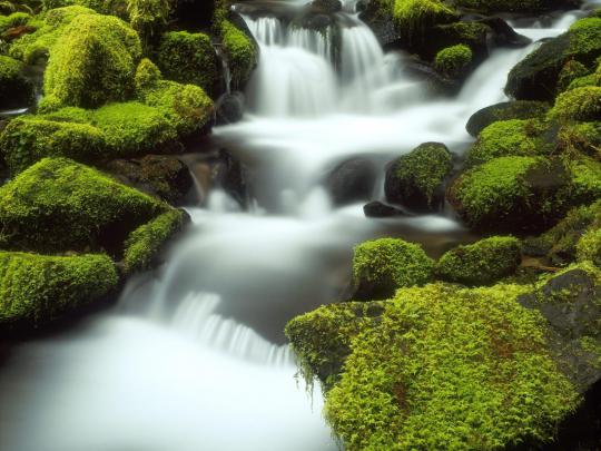 Nature Wallpapers For Desktop Backgrounds Full Screen