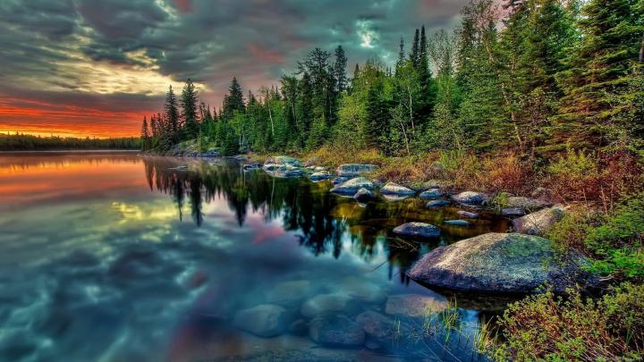3d Nature Wallpaper Hd 1080p Free Download | Forex Paradox System