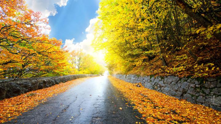 HD 1080p Nature Wallpapers Free Download