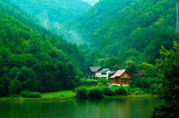 Free download Nature Green Wallpapers Hd 1080p Natural Wallpaper Nature 
