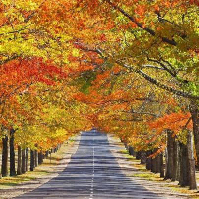 10 Best Computer Wallpaper Nature Fall FULL HD 1920\u00d71080 For PC 