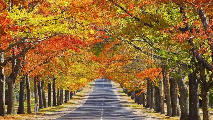 10 Best Computer Wallpaper Nature Fall FULL HD 1920\u00d71080 For PC 