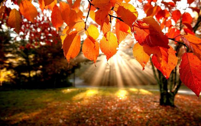 Pinterest Fall Desktop Wallpapers - Top Free Pinterest Fall Desktop 