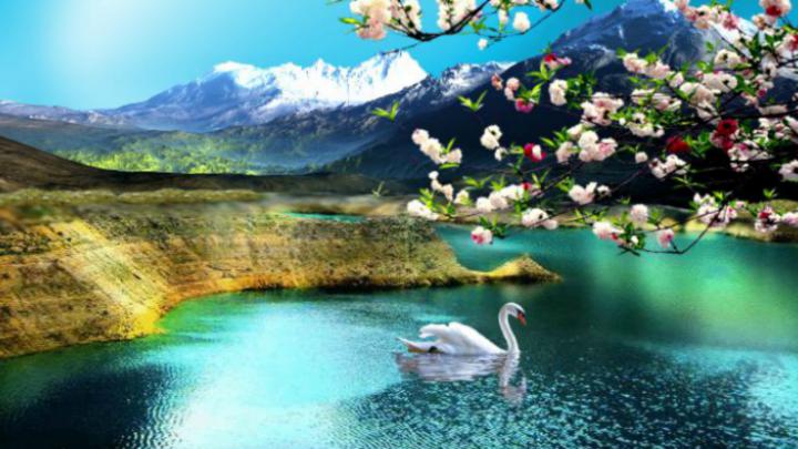 Wallpaper Hd 1080p Free Download For Windows - Windows 10 Nature 