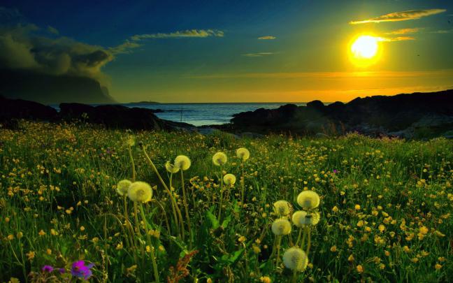 Nature Wallpaper HD Desktop