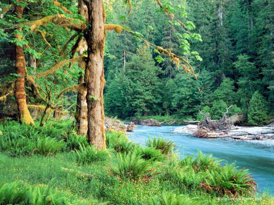 HD Nature Landscape Wallpapers Free Download ~ Wallpapers And Fashion Blog