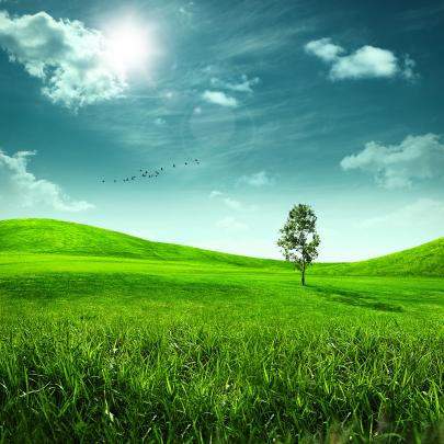 Nature 1920x1080 Full HD Wallpapers 1080p - Cool HD Wallpapers 
