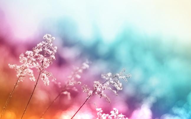 Abstract Nature | Full HD Desktop Wallpapers 1080p