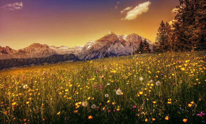 switzerland, Mountains, Dandelions, Scenery, Grasslands, Hdr, Alps 