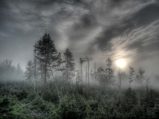 nature moon - HD Desktop Wallpapers