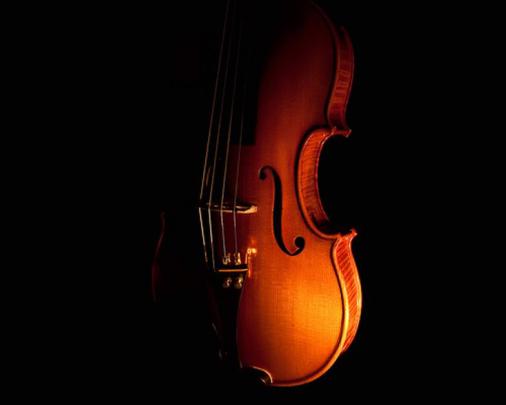 [39+] Black Violin Wallpaper 