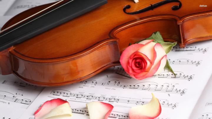 Violin Wallpaper (69+ images)