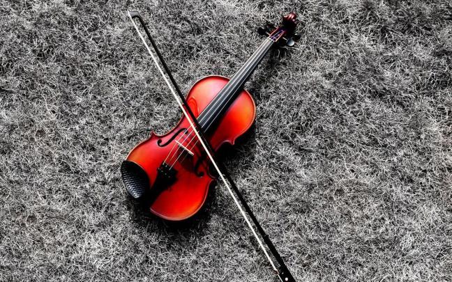 Black Violin Wallpaper -