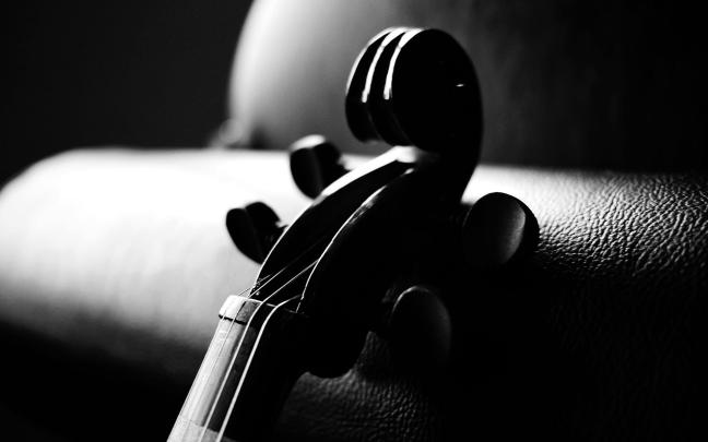 [39+] Black Violin Wallpaper 