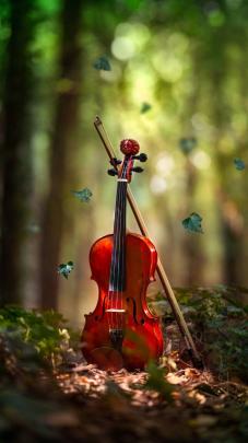 Violin Wallpapers - 4k, HD Violin Backgrounds on WallpaperBat