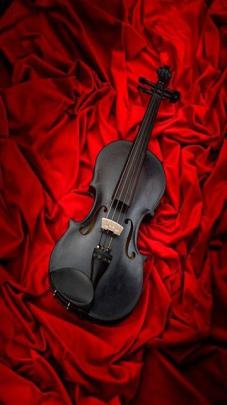 [39+] Black Violin Wallpaper 