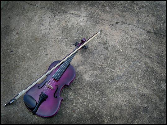 Violin Wallpaper -