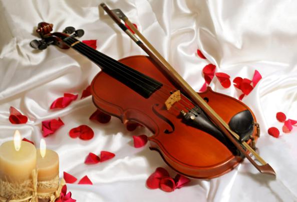 Beautiful Violin Wallpaper -