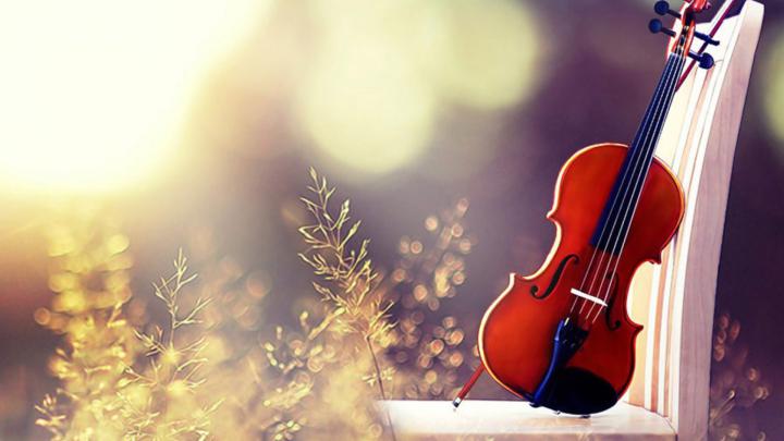 Violin Wallpaper for Desktop 1920x1080 Full HD