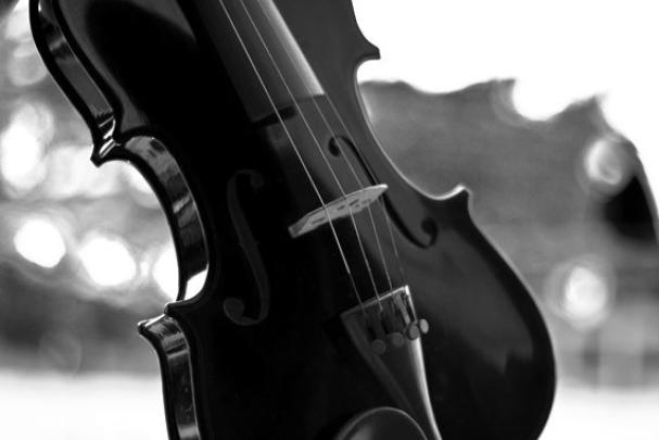 Black Violin Wallpaper -