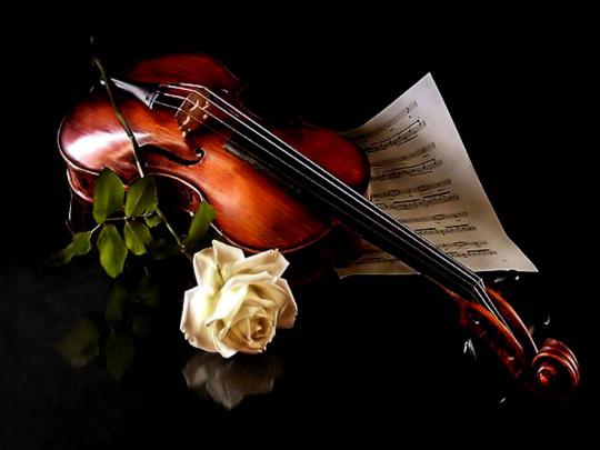 Violin Wallpaper -