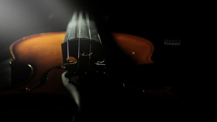 Violin Wallpaper -