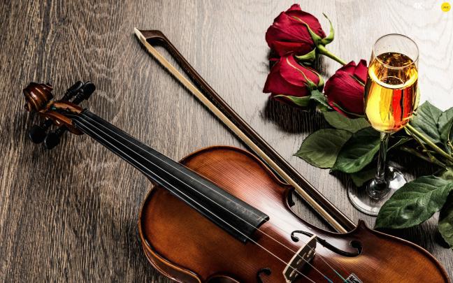 Violin 4k Wallpaper Free Download - Wallpaper