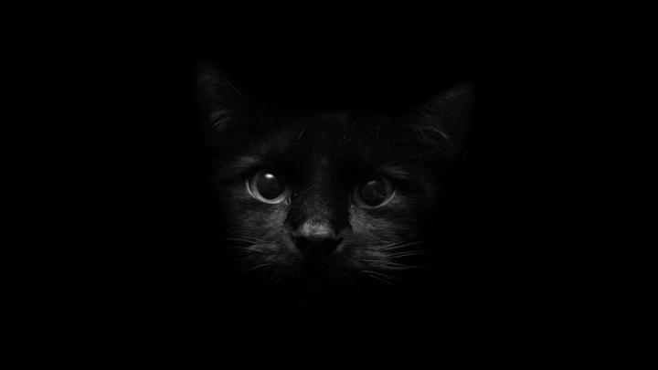 Dark HD Wallpapers 1920x1080 (73+ images)