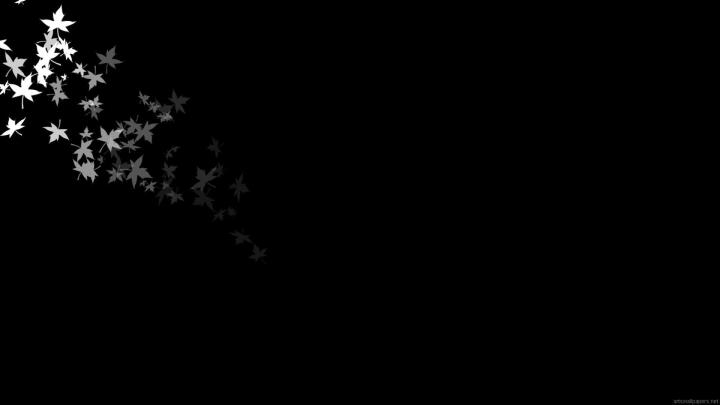 Full Black Wallpapers - 4k, HD Full Black Backgrounds on WallpaperBat