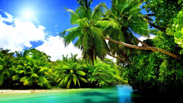 64K Ultra HD Nature Wallpapers - Top Free 64K Ultra HD Nature 