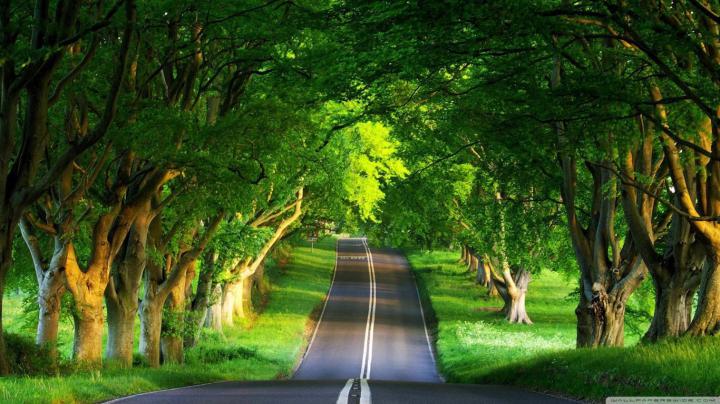 Nature Road Wallpapers - 4k, HD Nature Road Backgrounds on WallpaperBat