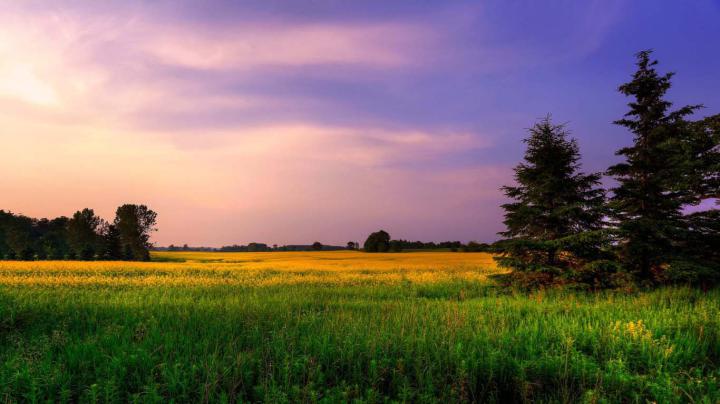 [48+] 8K Ultra HD Nature Wallpaper 