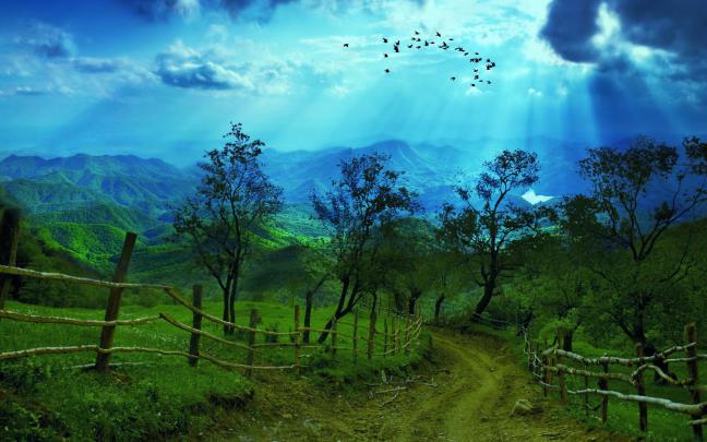 8K Ultra HD Nature Wallpaper (37+ images)