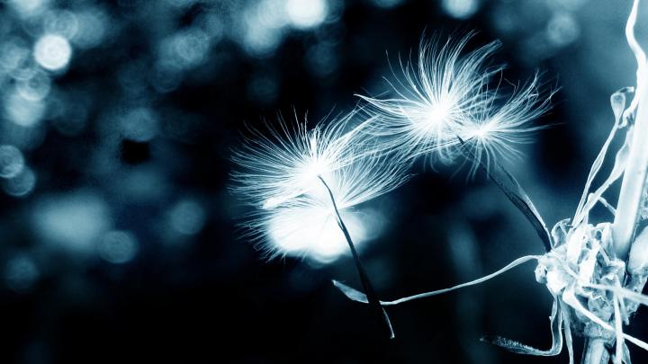 32K Ultra HD Nature Wallpapers - Top Free 32K Ultra HD Nature 
